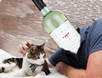 UncorkedLove.com  Sauvignon Blanc